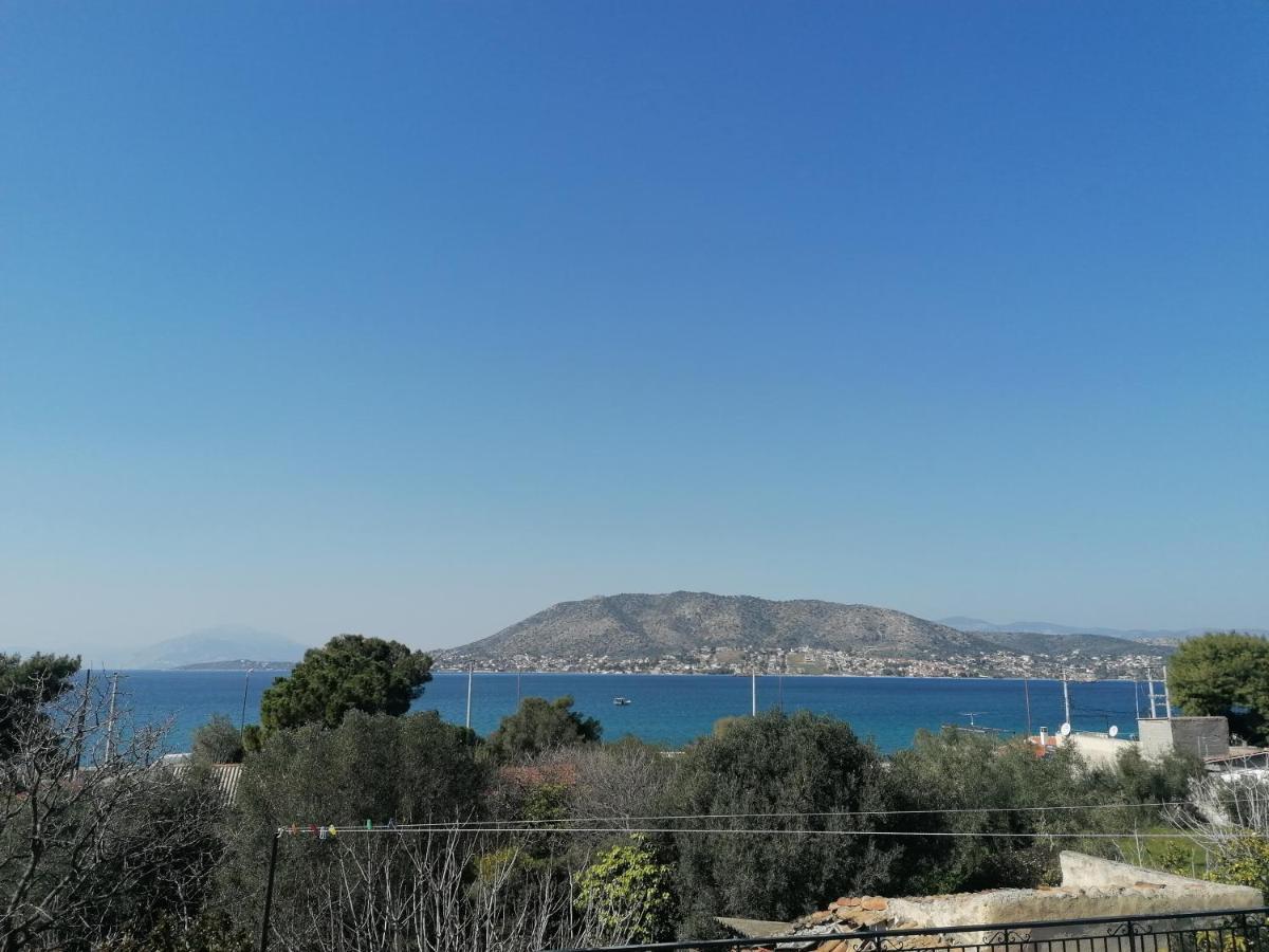 Villa Welcome In Salamina Exterior foto